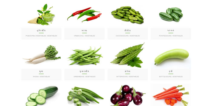 digitalkisan_vegetables